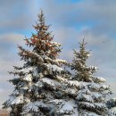 에버그린빌딩 이미지