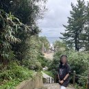 부남 | 강원도 삼척 조용하고 이국적인 해수욕장 추천 &#34; 부남해수욕장 &#34; 부남해변 솔직후기