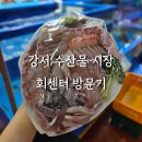 해삼수산 | [서울 강서 수산물 시장] 봉균 수산 모둠 회·부건 수산 해삼 멍게 후기