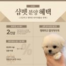 샵펫 강아지분양 울산점 이미지