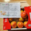 다미농장 이미지