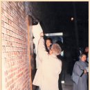 평화로운나날 이미지