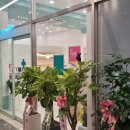 석전동259 이미지