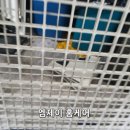 유가파출소 이미지