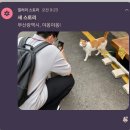 다모아의원 | 2025년 2월 일상(15일~28일)