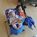 찬우목장 Daum카페