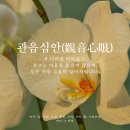 심안 | [마감] 관음심안 🦢🧿 오어사, 빛의 초 신청 — 3일 · 7일 꺼지지 않는 불꽃의 심해