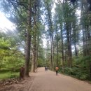 평창 월정사 팔각구층석탑 이미지