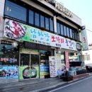 남한강 물고기 | 단양 고수동굴 맛집 남한강쏘가리올갱이, 단양 점심 맛집