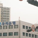 삼보볼링센타 | 볼링핀 모음집🎳
