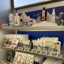 FIT360° | 올리브베러 광화문점 후기 ② 잘 움직이고 쉬는 법! 일상의 에너지를 깨우는 웰니스 가이드