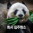 장안차바닥 이미지