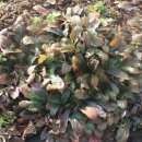 금창초등학교 이미지