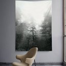 베러모어 이미지