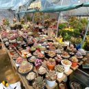 삼보농원 이미지