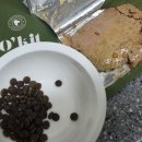 퍼피테일 | 그린테일 오킷 유기농 닭고기 화식 체험 후기!(맥쮸 첫 화식)