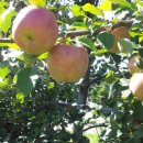 은성농장 이미지