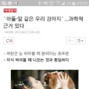아이엠아트필라테스