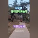 강문경♡물레방아도는데, 계양산 산책. #여행 #트롯 #현역가왕2강문경 이미지