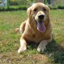 굿프랜드 이미지