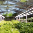 스마트팜 이미지