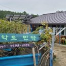 노두길민박 이미지