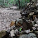 산사가는길 이미지