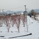 하은농장 이미지