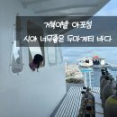 두마게티 스쿠버다이빙 비치다이빙부터 아포섬까지 킴스다이브리조트 추천 후기