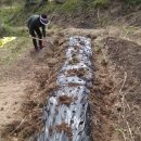 천문동 농장 이미지