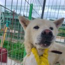 신원면 과정리 이미지