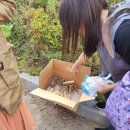 요선마을 이미지