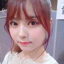플틴