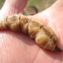 우리돈농장 이미지