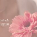규비부티크