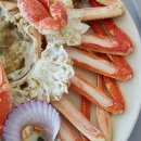 1173 | 대포리 속초맛집 대포항 바다뷰에서 즐긴 푸짐한 해산물 코스 후기