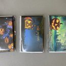 용인대 동성 태권도 이미지