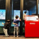 조이스포츠스크린 이미지