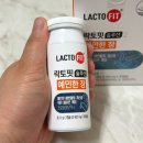 락토핏프로바이오틱스 예민한장내돈내산 후기