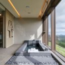 소노펠리체 델피노 이미지