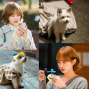 사랑스럽개 이미지