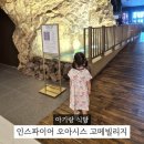영종도 인스파이어 식당 추천 오아시스 고메빌리지 메뉴 후기