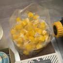 태곱이네 이미지