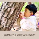 새울산유치원 네이버블로그