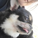 제이동물병원 이미지