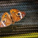 대동테크 이미지