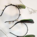 북로농장 이미지