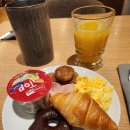 11650-7-6-1 | [영국 교환학생] 🇫🇷 프랑스 파리 6박7일 여행 후기(1) -오스트리아 항공(Austrian airlines)/오미오...