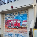 마항 | 여자 혼자 여행 사쿠라지마 36km 자전거 후기 그리고 밤하늘