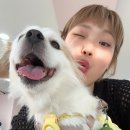 야미뽀 이미지